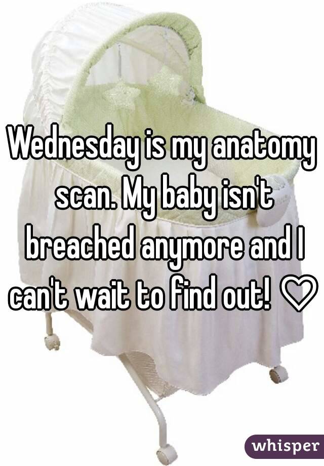 Wednesday is my anatomy scan. My baby isn't breached anymore and I can't wait to find out! ♡