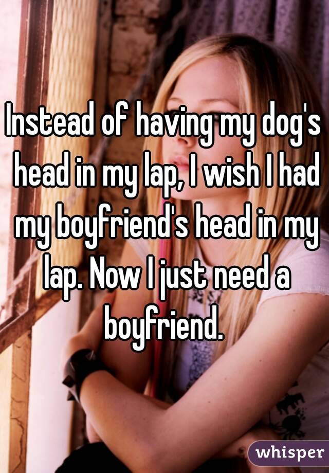 Instead of having my dog's head in my lap, I wish I had my boyfriend's head in my lap. Now I just need a boyfriend. 