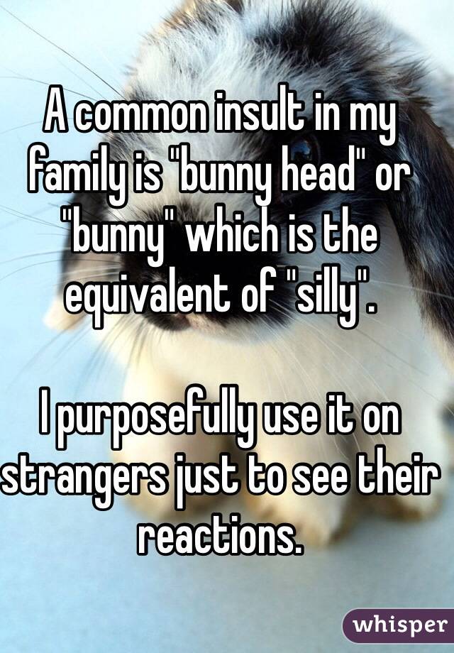 A common insult in my family is "bunny head" or "bunny" which is the equivalent of "silly".

I purposefully use it on strangers just to see their reactions.