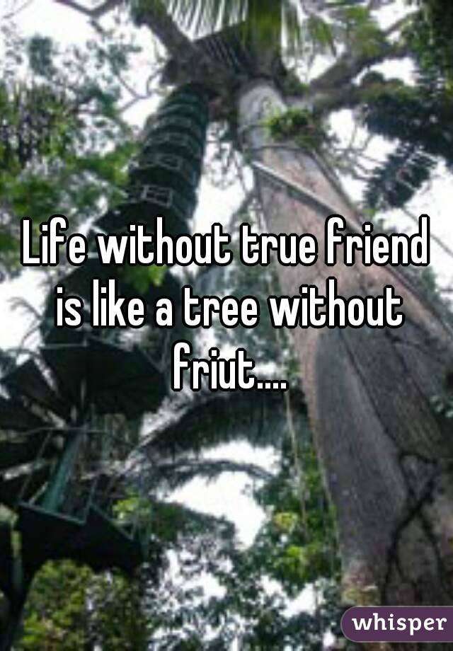 Life without true friend is like a tree without friut....