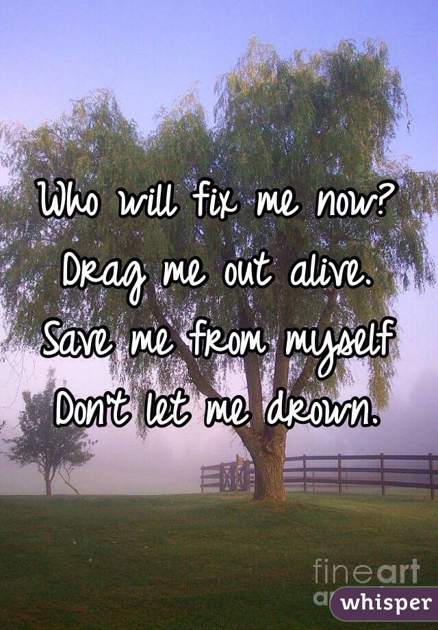 Who will fix me now?
Drag me out alive.
Save me from myself
Don't let me drown. 