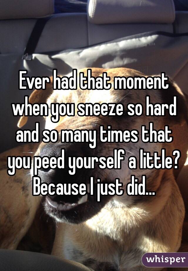 Ever had that moment when you sneeze so hard and so many times that you peed yourself a little?
Because I just did...