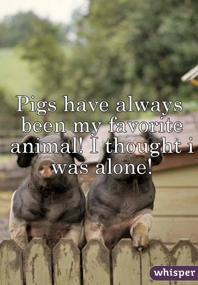 Pigs have always been my favorite animal! I thought i was alone!