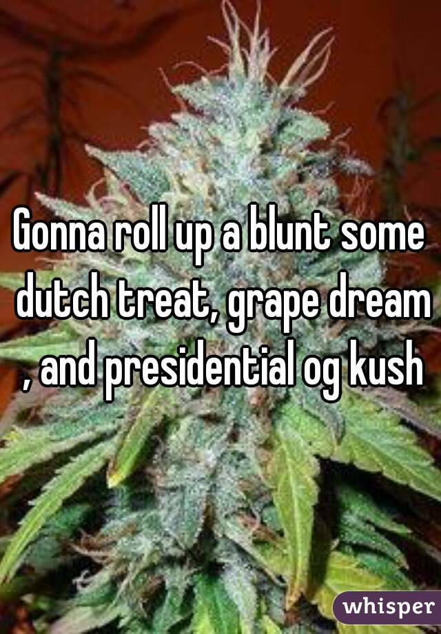 Gonna roll up a blunt some dutch treat, grape dream , and presidential og kush