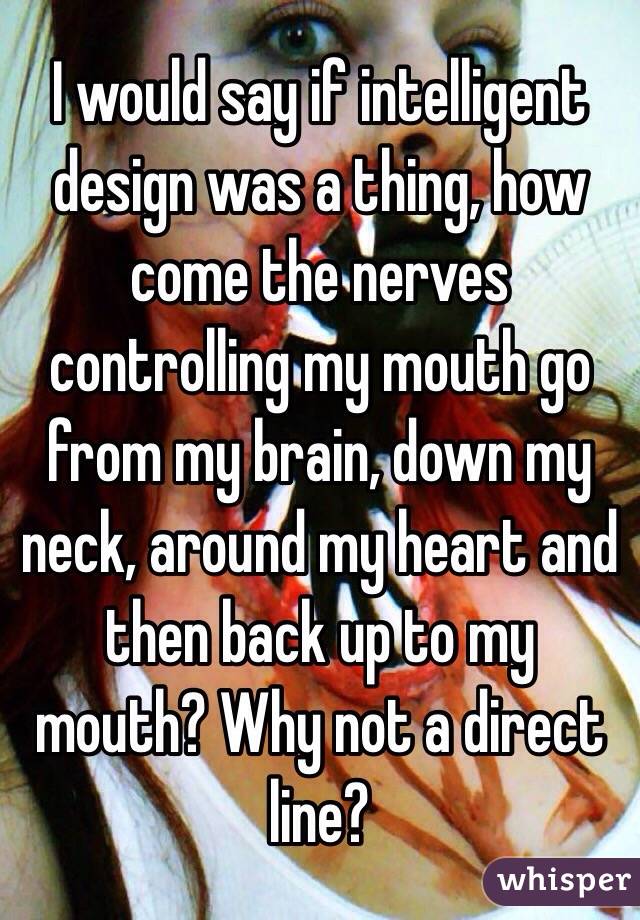 I would say if intelligent design was a thing, how come the nerves controlling my mouth go from my brain, down my neck, around my heart and then back up to my mouth? Why not a direct line?