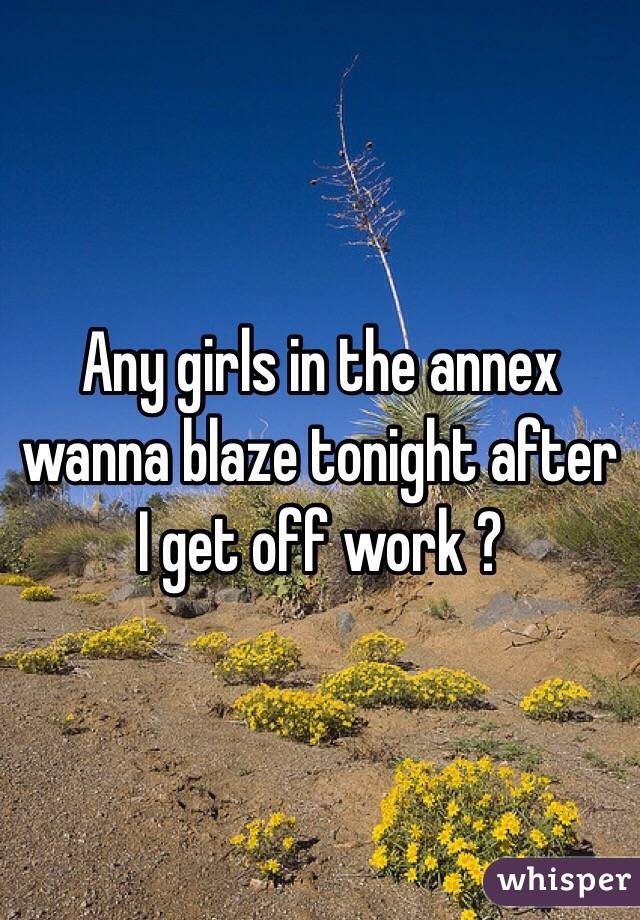 Any girls in the annex wanna blaze tonight after I get off work ?