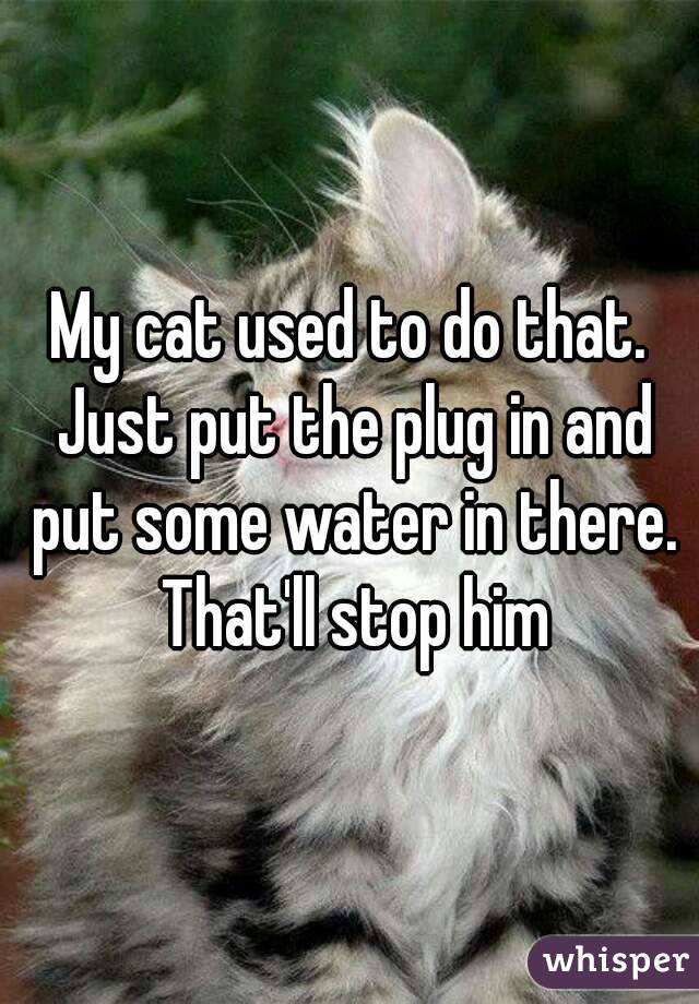 My cat used to do that. Just put the plug in and put some water in there. That'll stop him