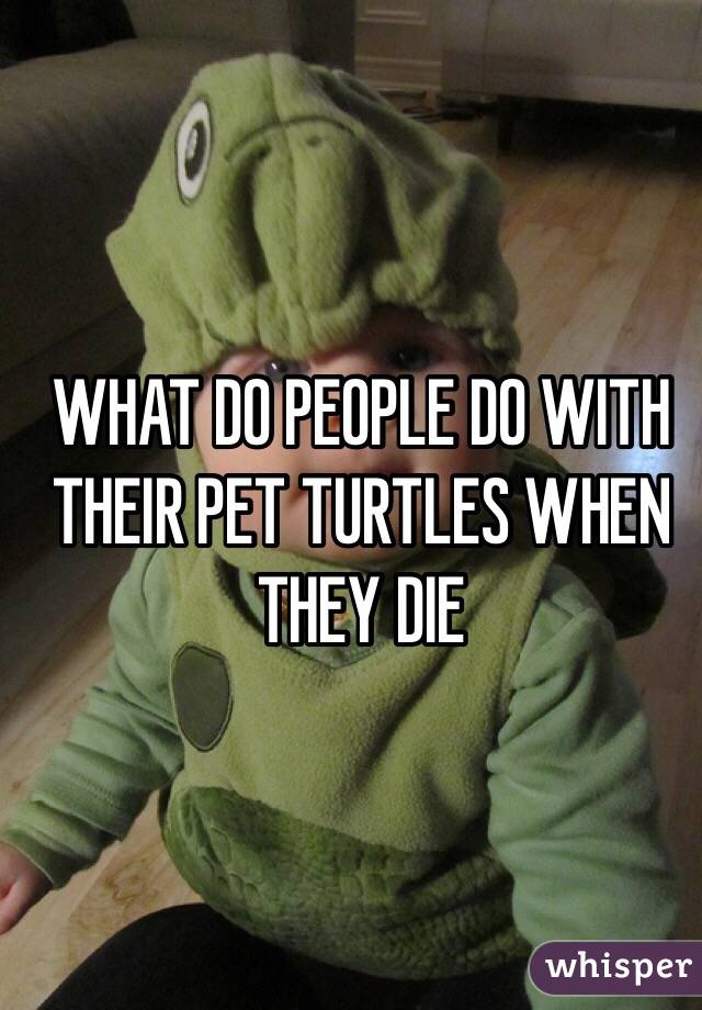 WHAT DO PEOPLE DO WITH THEIR PET TURTLES WHEN THEY DIE 
