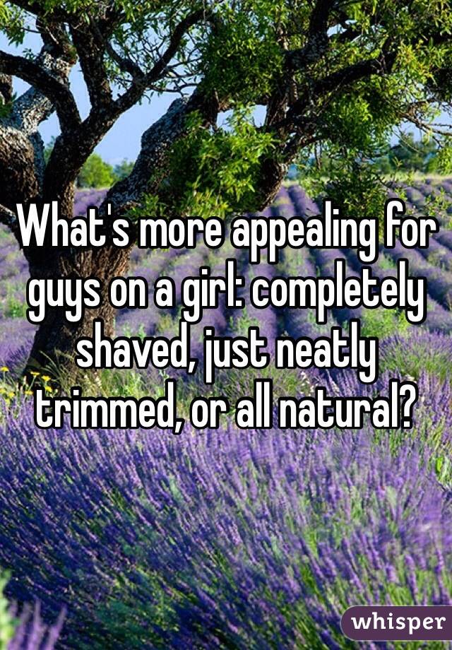 What's more appealing for guys on a girl: completely shaved, just neatly trimmed, or all natural?