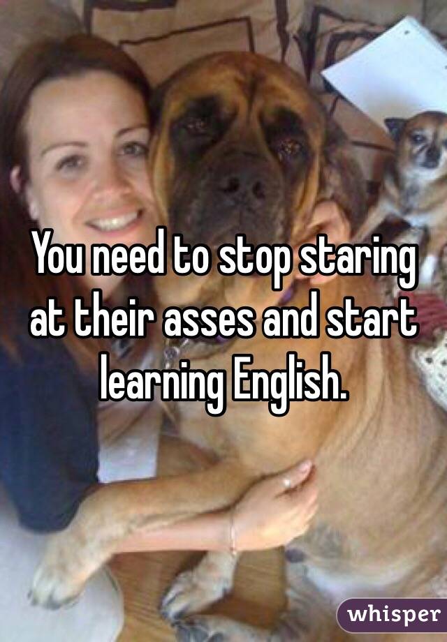 You need to stop staring at their asses and start learning English. 