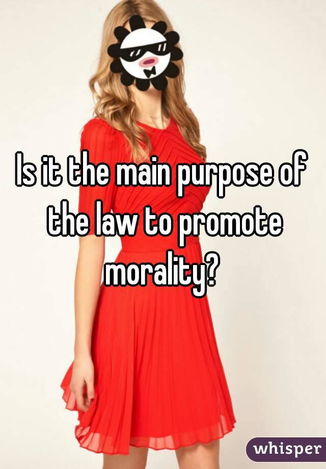 Is it the main purpose of the law to promote morality? 