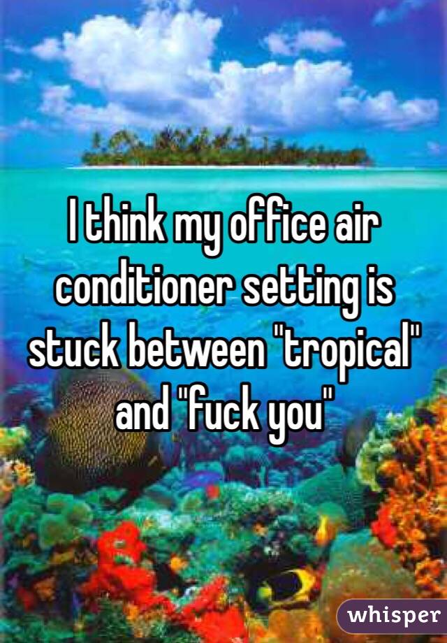 I think my office air conditioner setting is stuck between "tropical" and "fuck you"