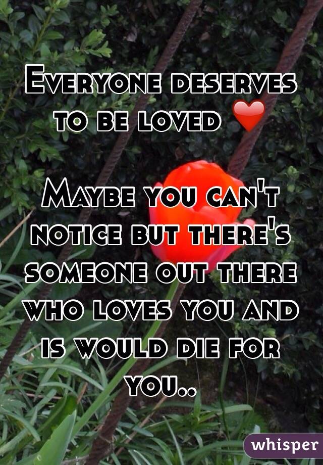 Everyone deserves to be loved ❤️

Maybe you can't notice but there's someone out there who loves you and is would die for you..