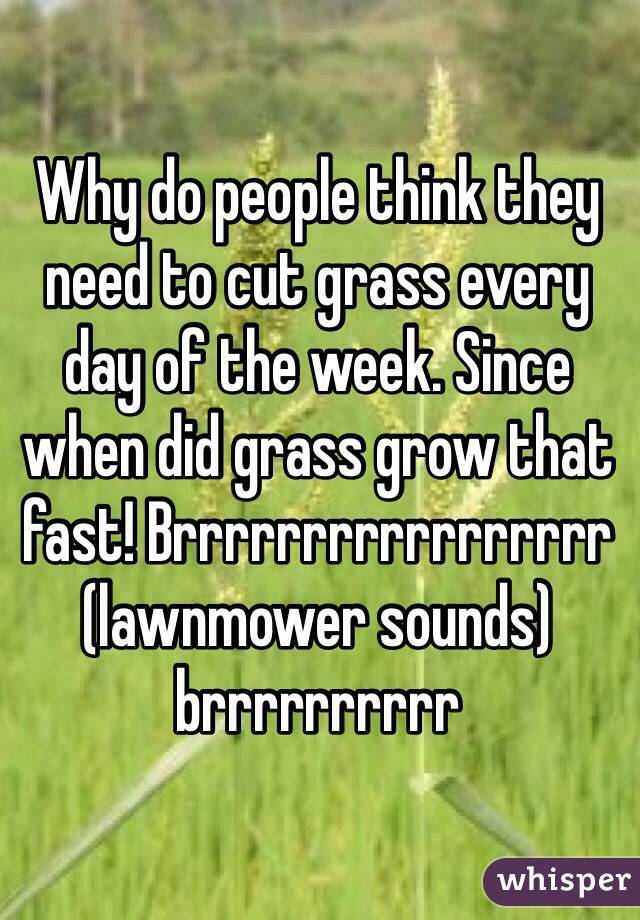 Why do people think they need to cut grass every day of the week. Since when did grass grow that fast! Brrrrrrrrrrrrrrrrr (lawnmower sounds) brrrrrrrrrr