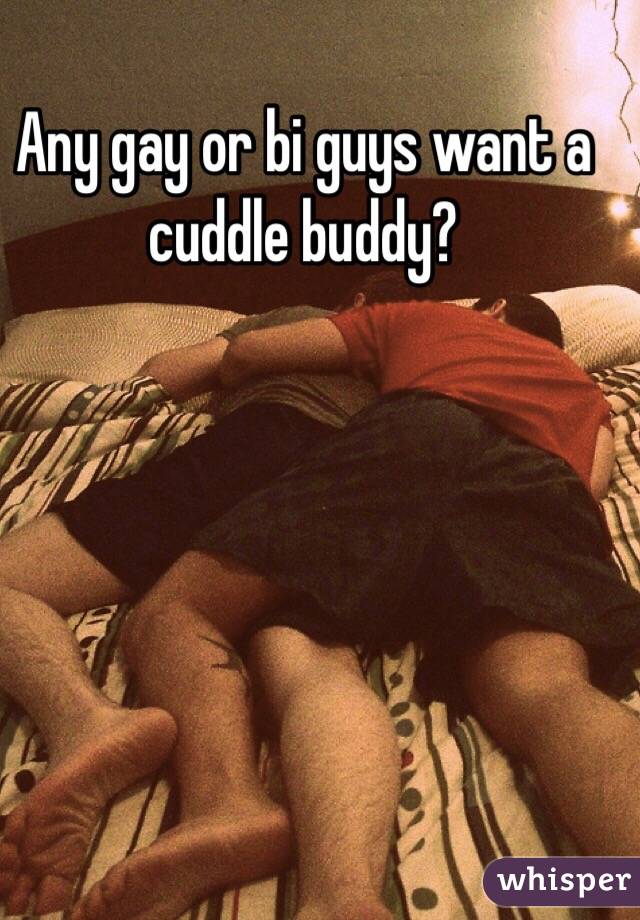 Any gay or bi guys want a cuddle buddy? 