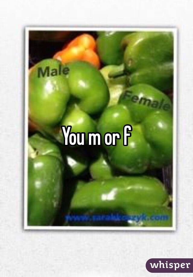 You m or f
