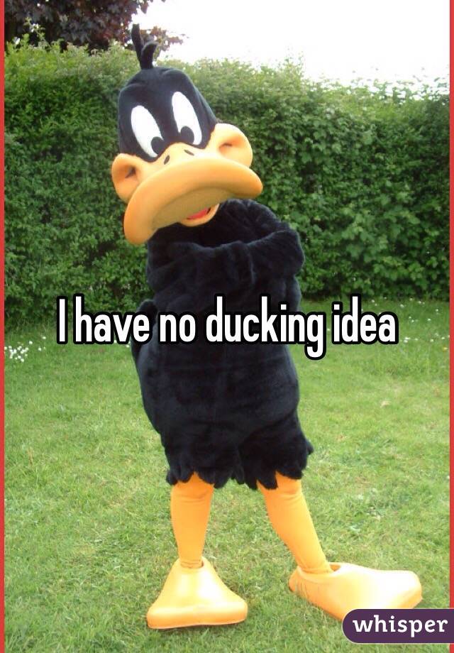 I have no ducking idea 