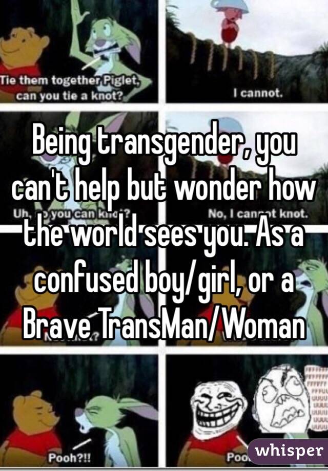 Being transgender, you can't help but wonder how the world sees you. As a confused boy/girl, or a Brave TransMan/Woman