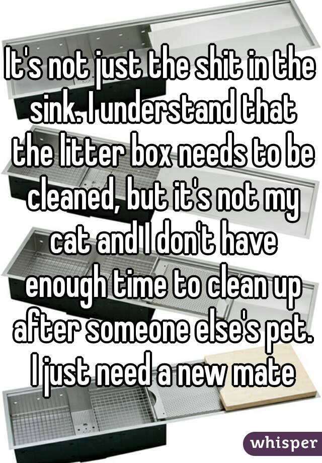 It's not just the shit in the sink. I understand that the litter box needs to be cleaned, but it's not my cat and I don't have enough time to clean up after someone else's pet. I just need a new mate