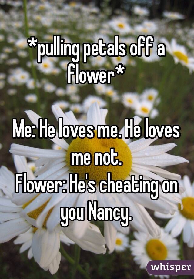 *pulling petals off a flower*

Me: He loves me. He loves me not.
Flower: He's cheating on you Nancy. 