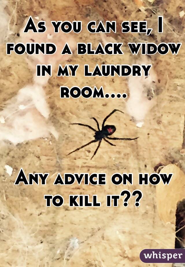 As you can see, I found a black widow in my laundry room....



Any advice on how to kill it??