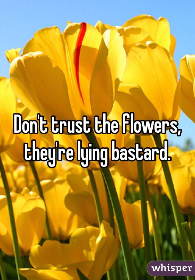 Don't trust the flowers, they're lying bastard.