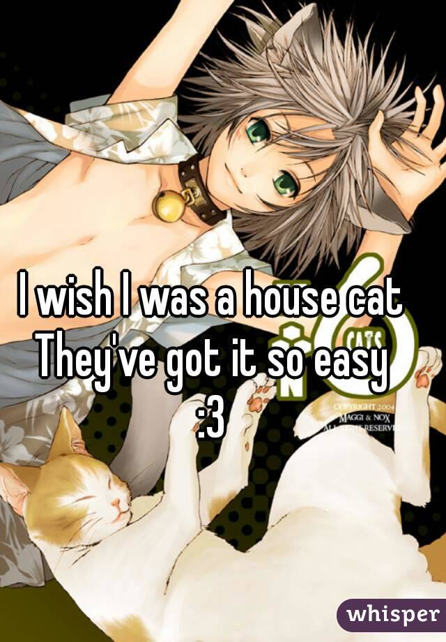 I wish I was a house cat
They've got it so easy
:3