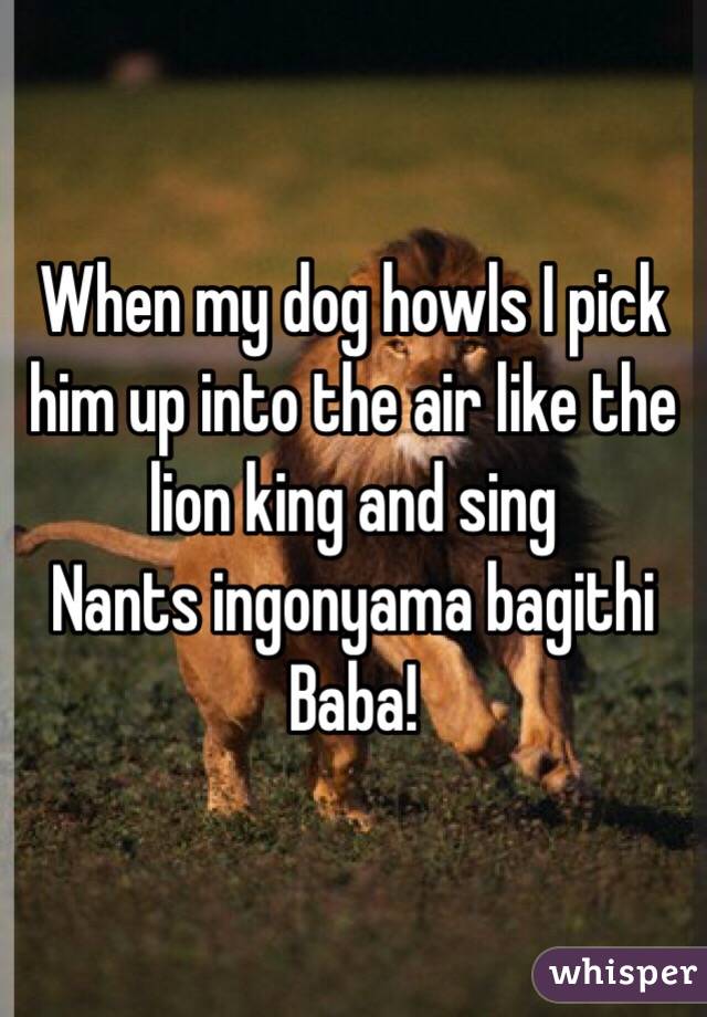 When my dog howls I pick him up into the air like the lion king and sing 
Nants ingonyama bagithi Baba!