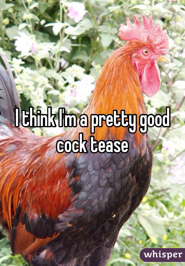 I think I'm a pretty good cock tease 