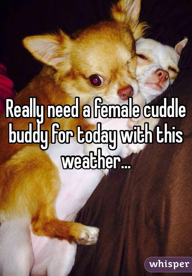 Really need a female cuddle buddy for today with this weather...