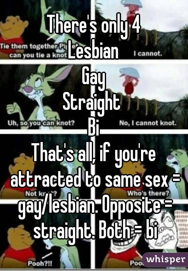 There's only 4
Lesbian
Gay
Straight 
Bi
That's all, if you're attracted to same sex = gay/lesbian. Opposite = straight. Both = bi