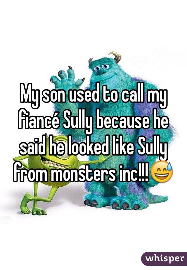 My son used to call my fiancé Sully because he said he looked like Sully from monsters inc!!!😅