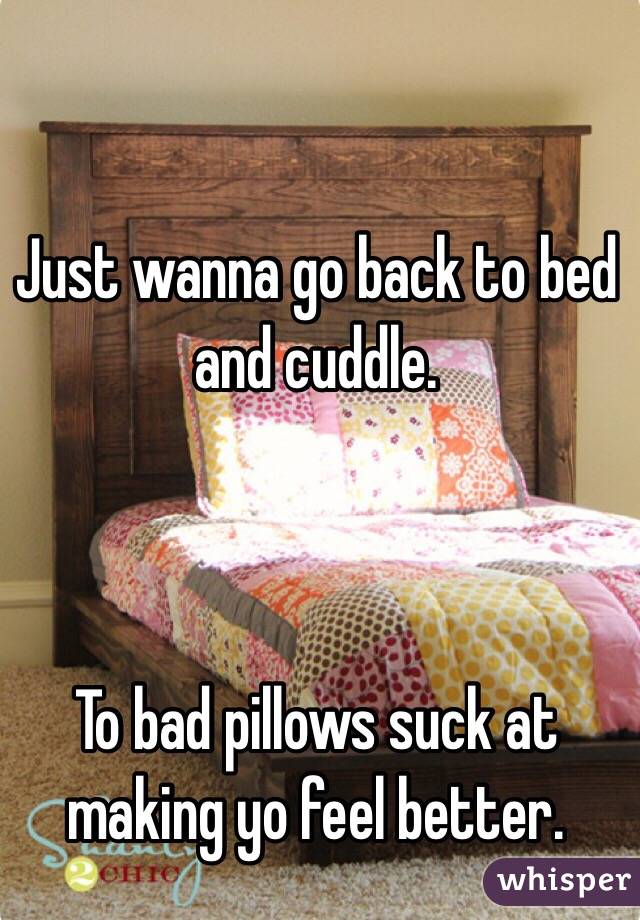 Just wanna go back to bed and cuddle. 



To bad pillows suck at making yo feel better.