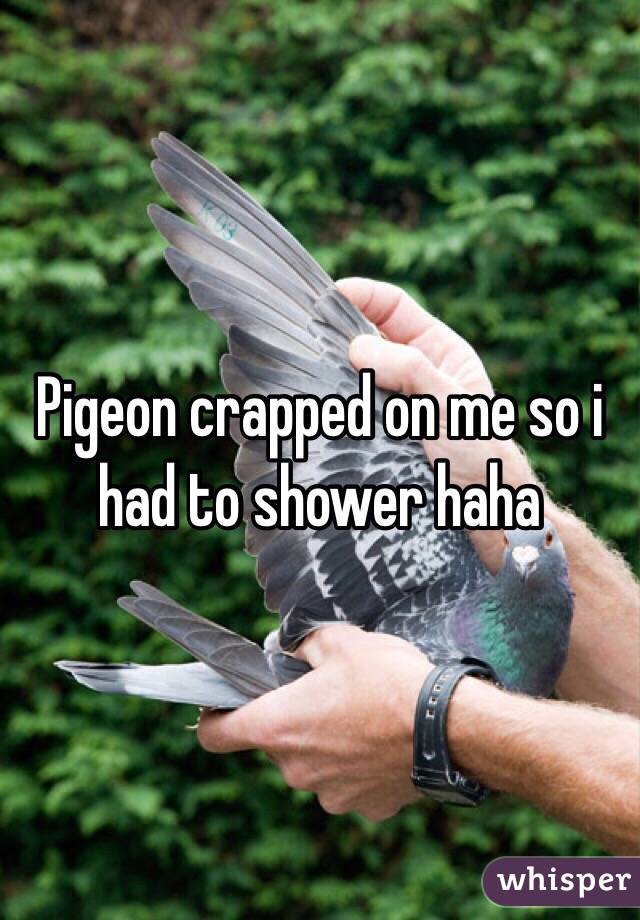 Pigeon crapped on me so i had to shower haha