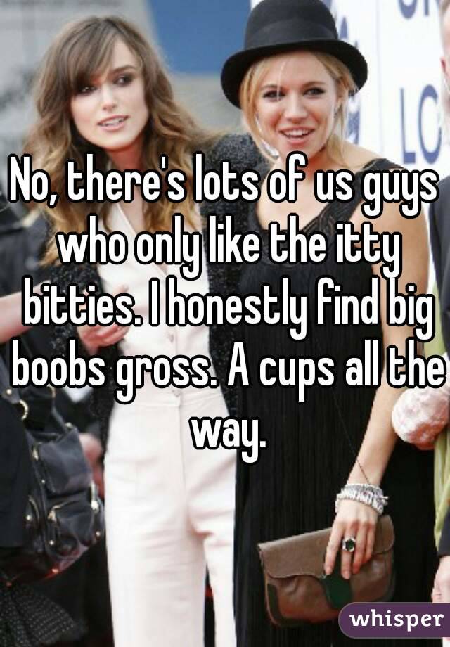 No, there's lots of us guys who only like the itty bitties. I honestly find big boobs gross. A cups all the way.