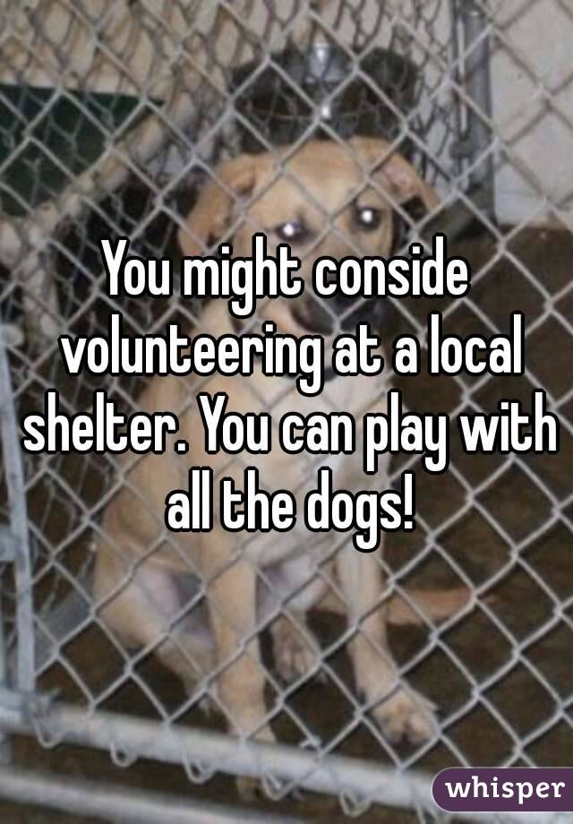 You might conside volunteering at a local shelter. You can play with all the dogs!