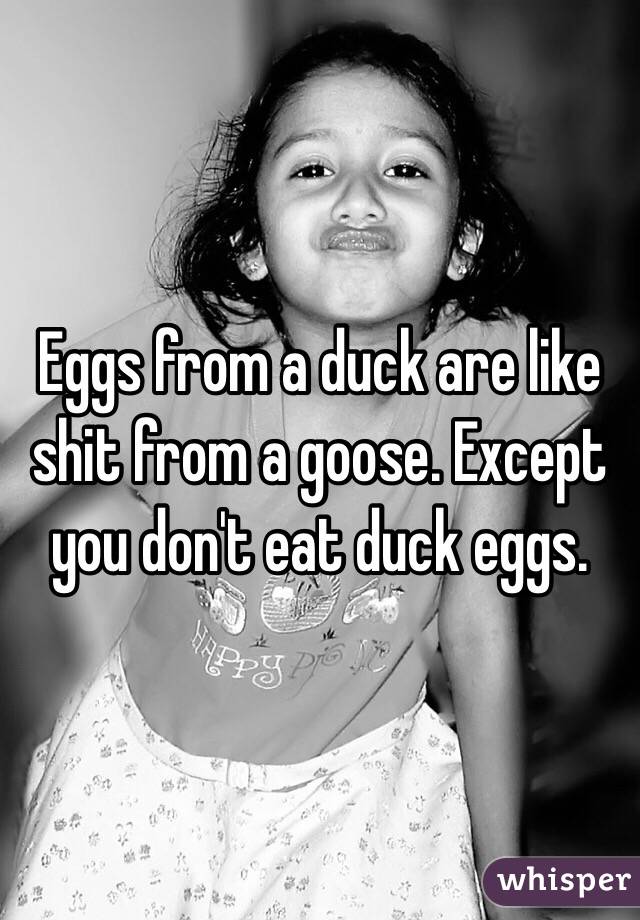 Eggs from a duck are like shit from a goose. Except you don't eat duck eggs.