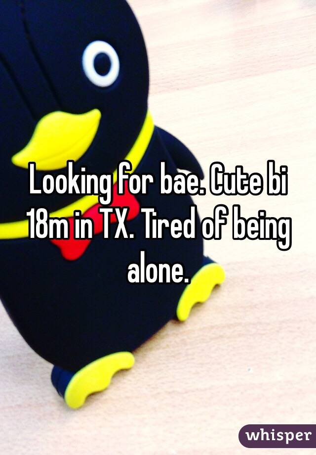 Looking for bae. Cute bi 18m in TX. Tired of being alone. 
