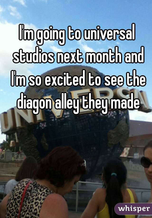 I'm going to universal studios next month and I'm so excited to see the diagon alley they made