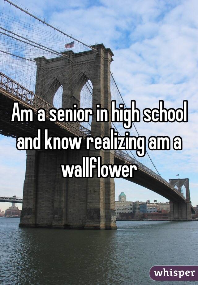 Am a senior in high school and know realizing am a wallflower 