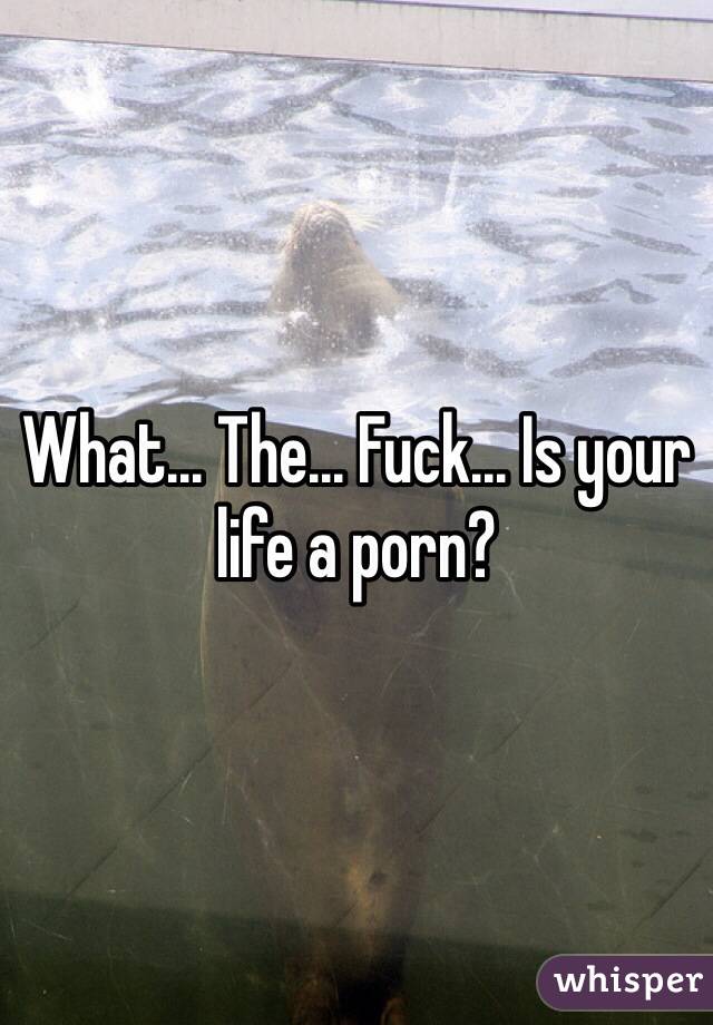 What... The... Fuck... Is your life a porn?