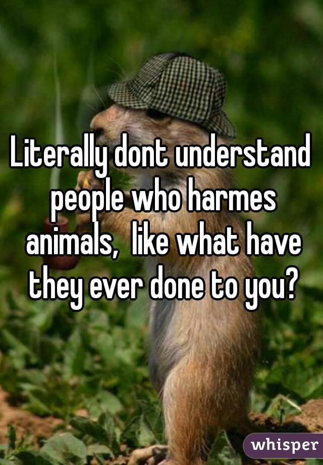 Literally dont understand people who harmes animals,  like what have they ever done to you?