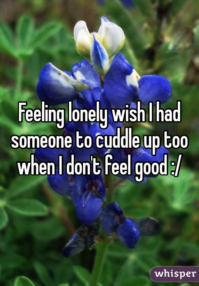 Feeling lonely wish I had someone to cuddle up too when I don't feel good :/