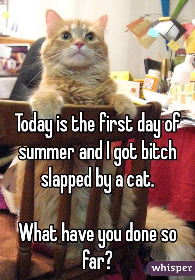 



Today is the first day of summer and I got bitch slapped by a cat.

What have you done so far?