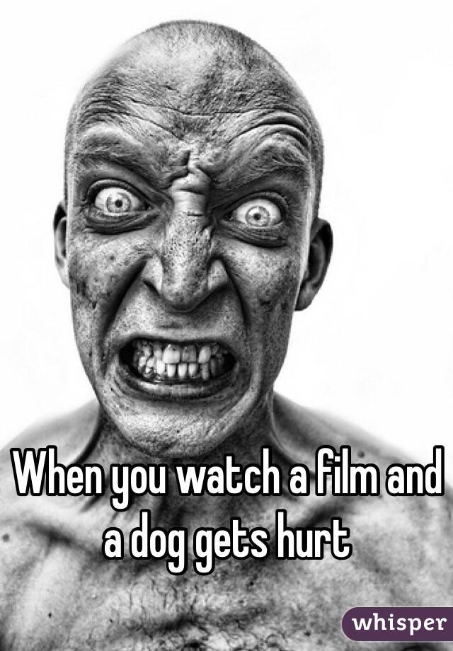 When you watch a film and a dog gets hurt 