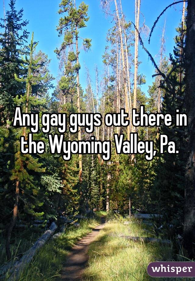 Any gay guys out there in the Wyoming Valley, Pa. 
