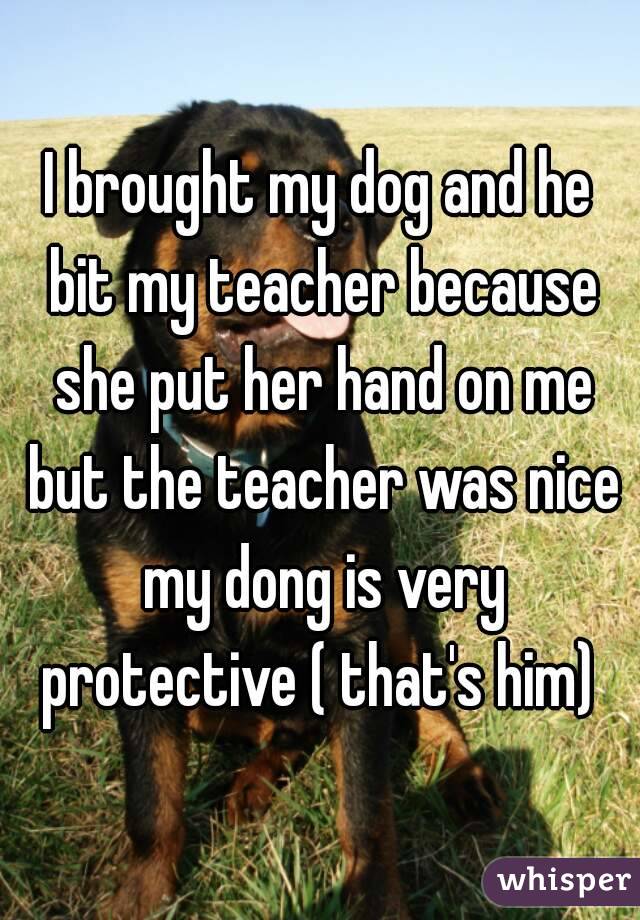 I brought my dog and he bit my teacher because she put her hand on me but the teacher was nice my dong is very protective ( that's him) 