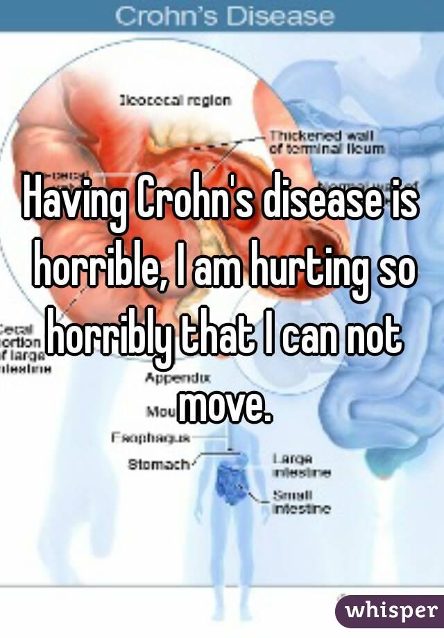 Having Crohn's disease is horrible, I am hurting so horribly that I can not move.
