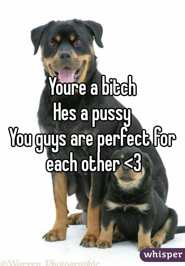 Youre a bitch
Hes a pussy
You guys are perfect for each other <3
