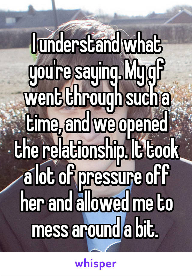 I understand what you're saying. My gf went through such a time, and we opened the relationship. It took a lot of pressure off her and allowed me to mess around a bit. 